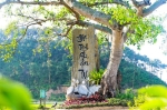 HÀ NỘI – CÂY THỊ – CHÙA ĐỊA TẠNG – CHÙA PHẬT QUANG –  HÀ NỘI 1 NGÀY